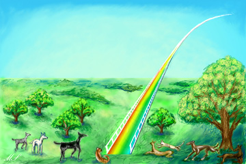 Rainbow bridge